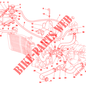 Sensore temperatura acqua Ducati 55240131A