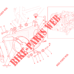 Protezione radiatore Ducati 24610741A