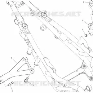 Molla Ducati 79910241B