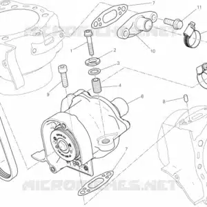 Cinghia Ducati 73710211A