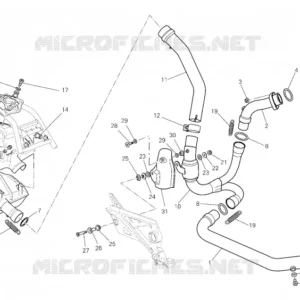 Guarnizione Ducati 79010131A