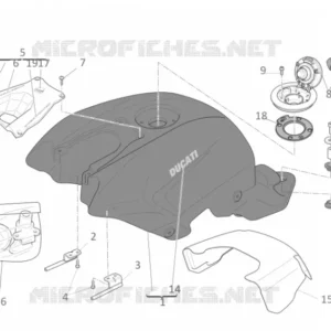 Decalcomania "Ducati" Ducati 43813651AA